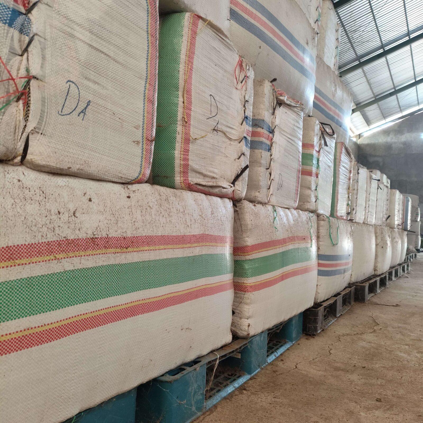 Baled black cincau on pallets in our warehouse